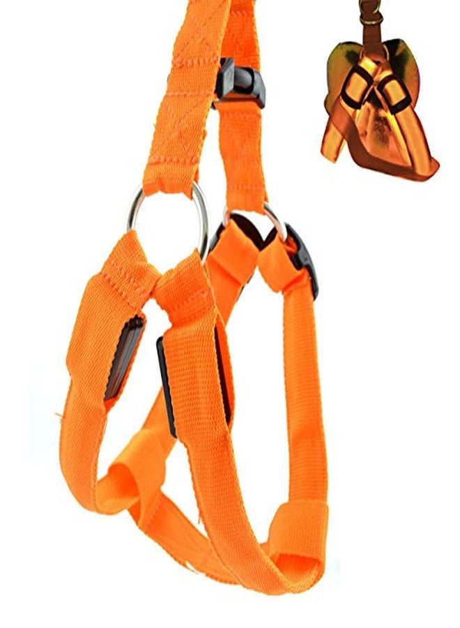 Futaba Dog LED Harness Flashing Light 3 Mode - Orange - Medium - Image 1